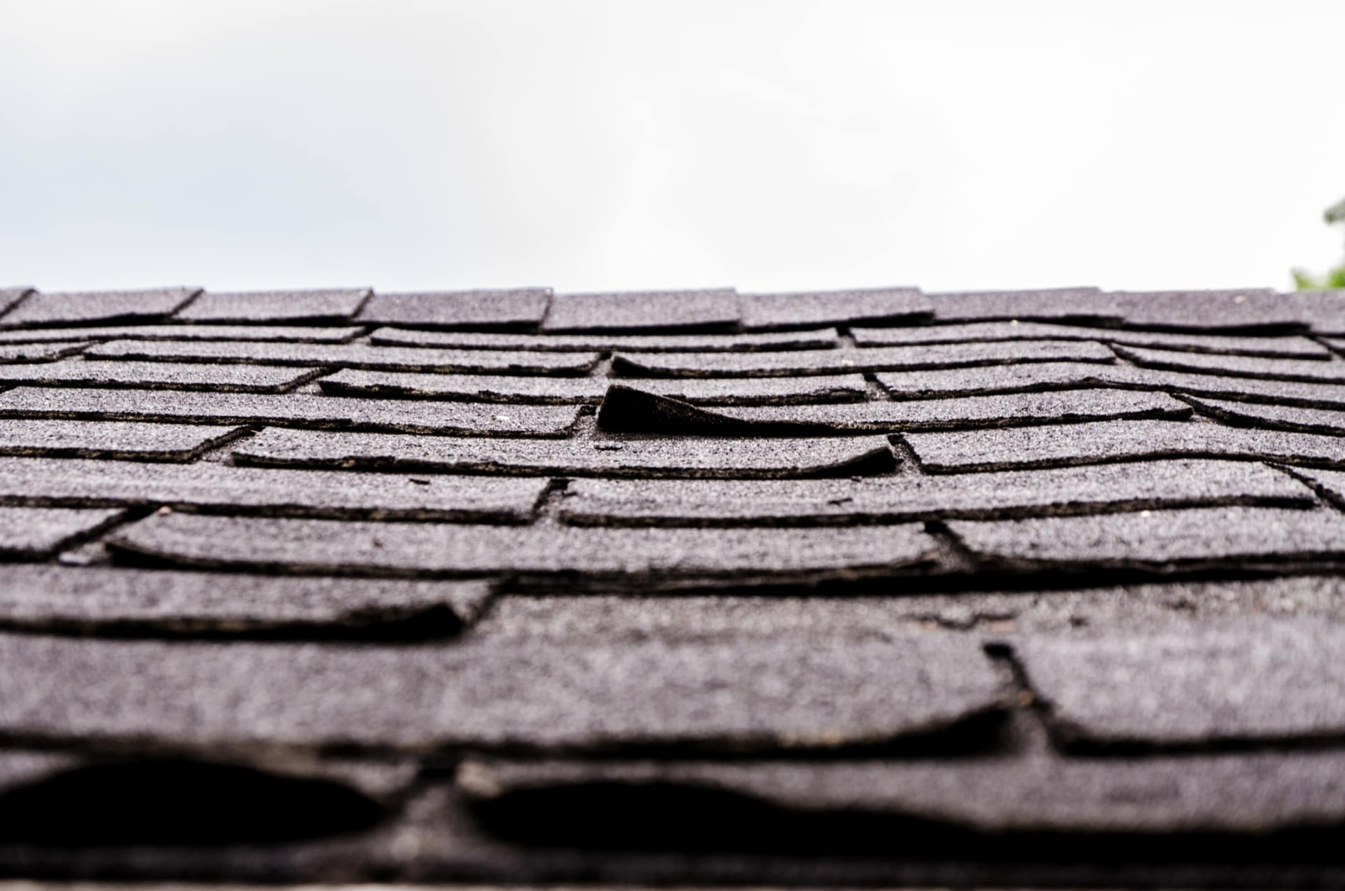 Close-up of curling and lifting asphalt shingles on an aging roof